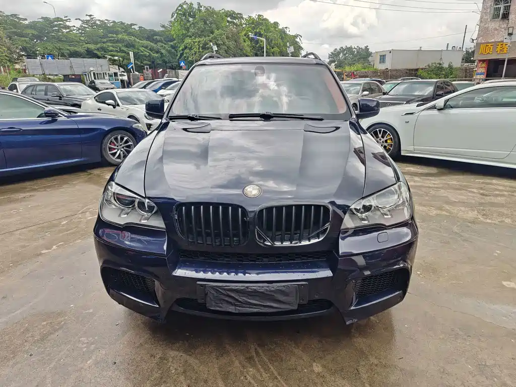 BMW X5 (Import) — миниатюра 28