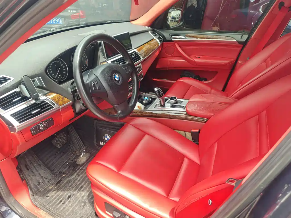 BMW X5 (Import) — миниатюра 60