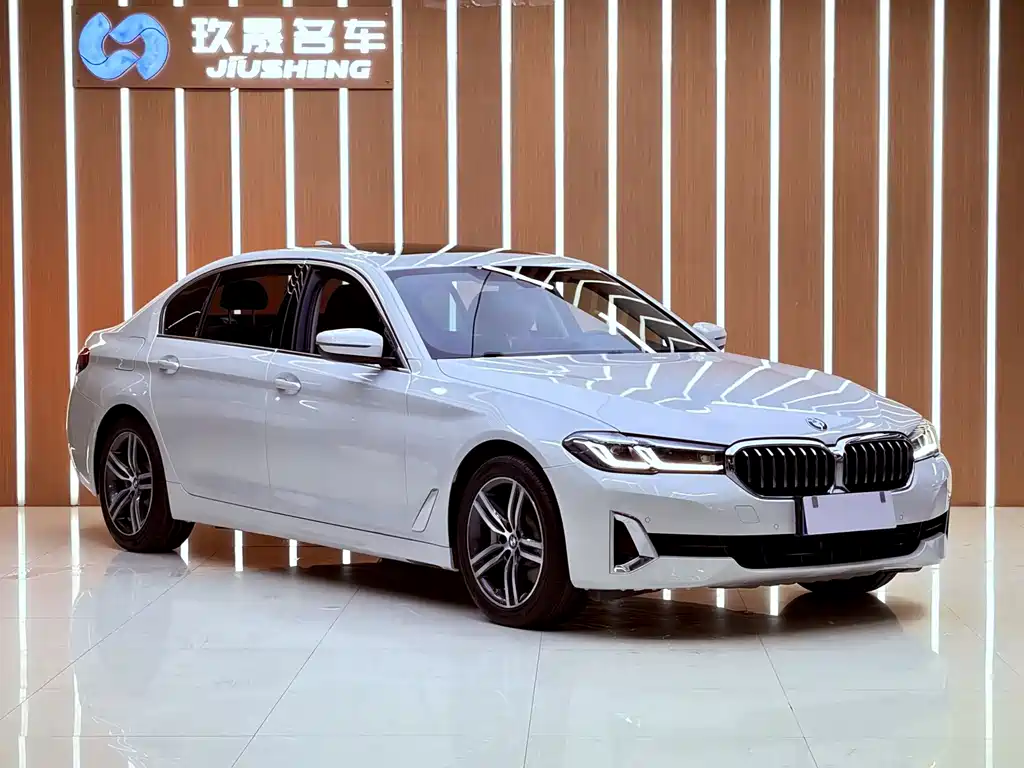BMW 5 Series — миниатюра 3