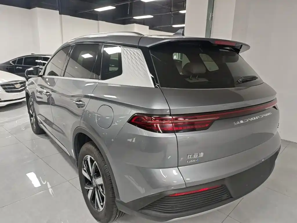 BYD Pro New Energy — миниатюра 5