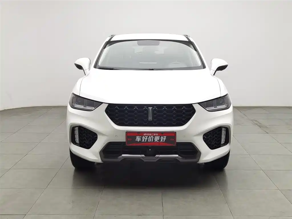 WEI PAI WEI BRAND VV5