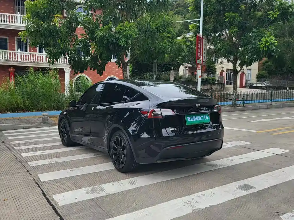 Tesla Model Y — миниатюра 2