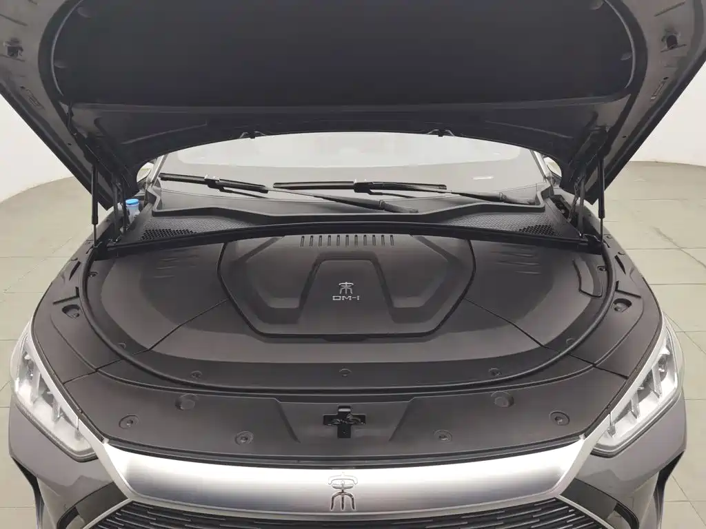 BYD PLUS New Energy — миниатюра 6