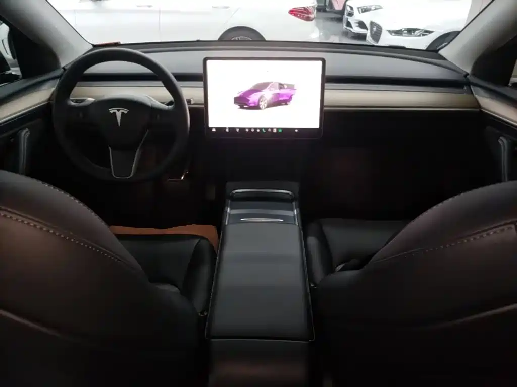 Tesla Model Y — миниатюра 10