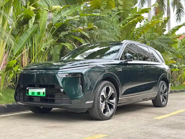 2024 Wey Lanshan