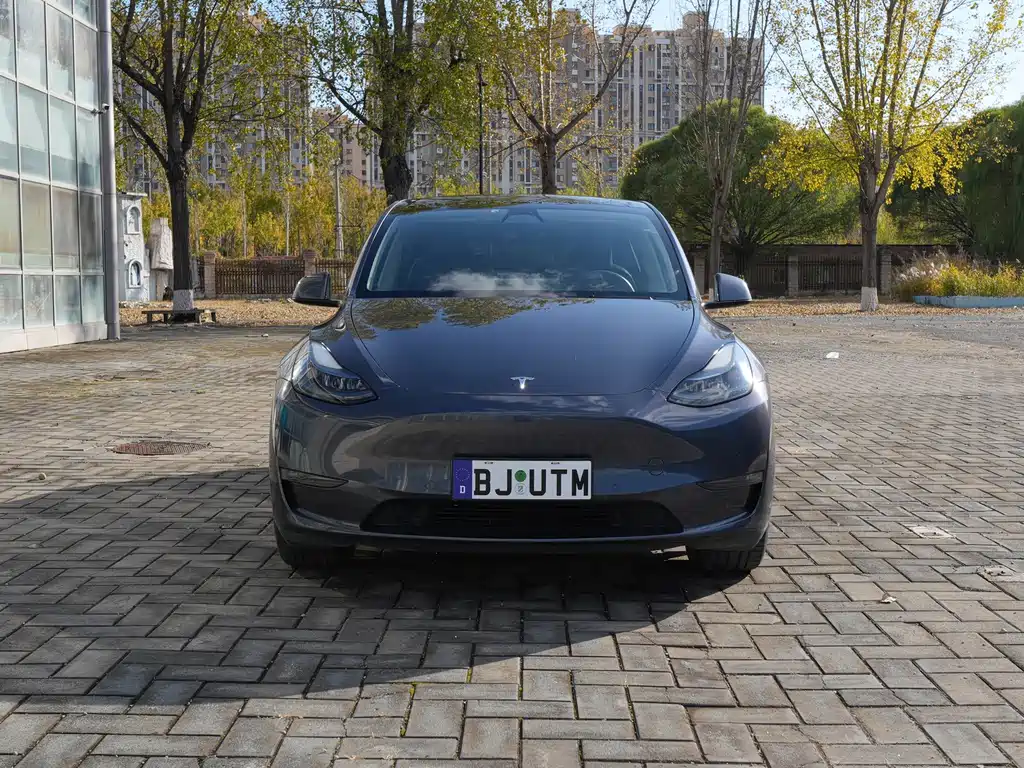 Tesla Model Y — миниатюра 2