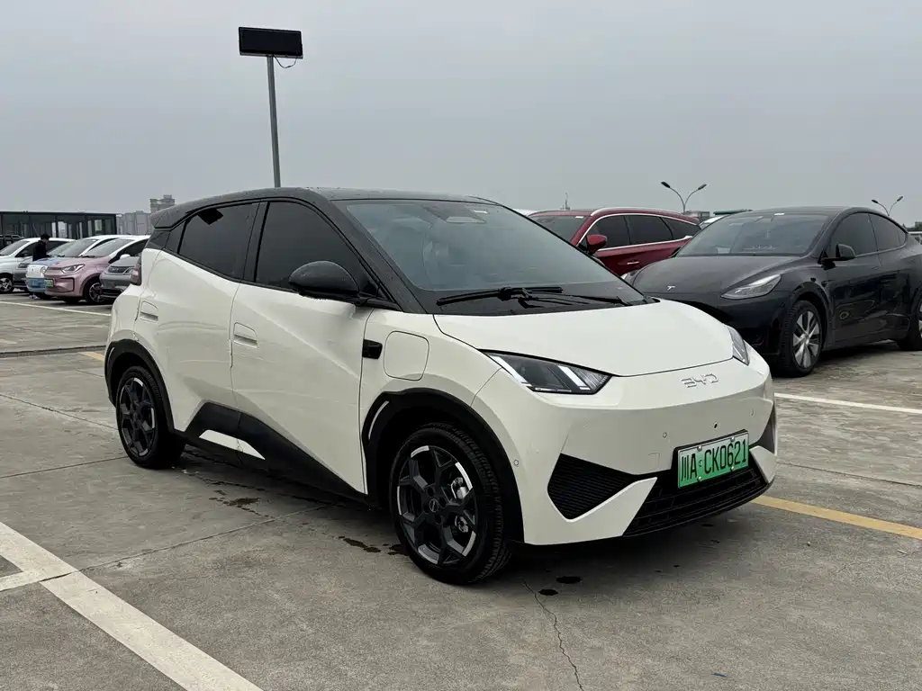 BYD Seagull — миниатюра 6