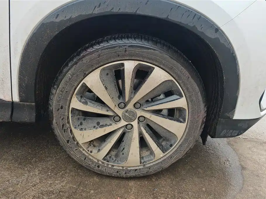 BYD SONGJIANG NEW ENERGY