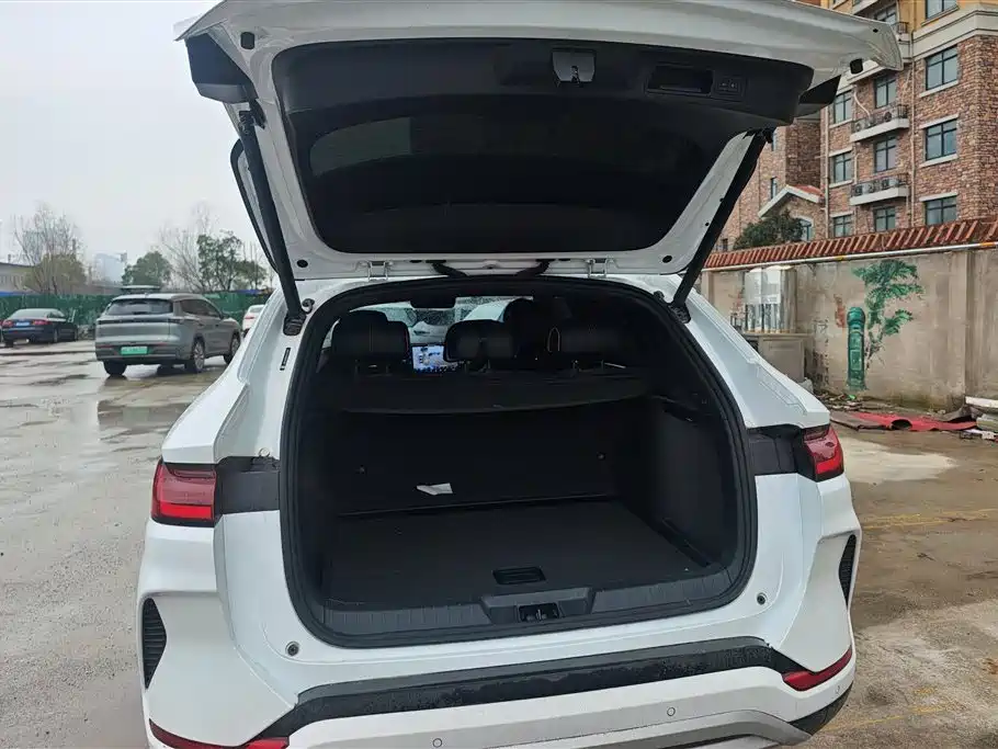 BYD SONGJIANG NEW ENERGY