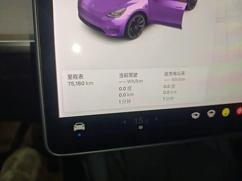 Tesla Model Y — миниатюра 12
