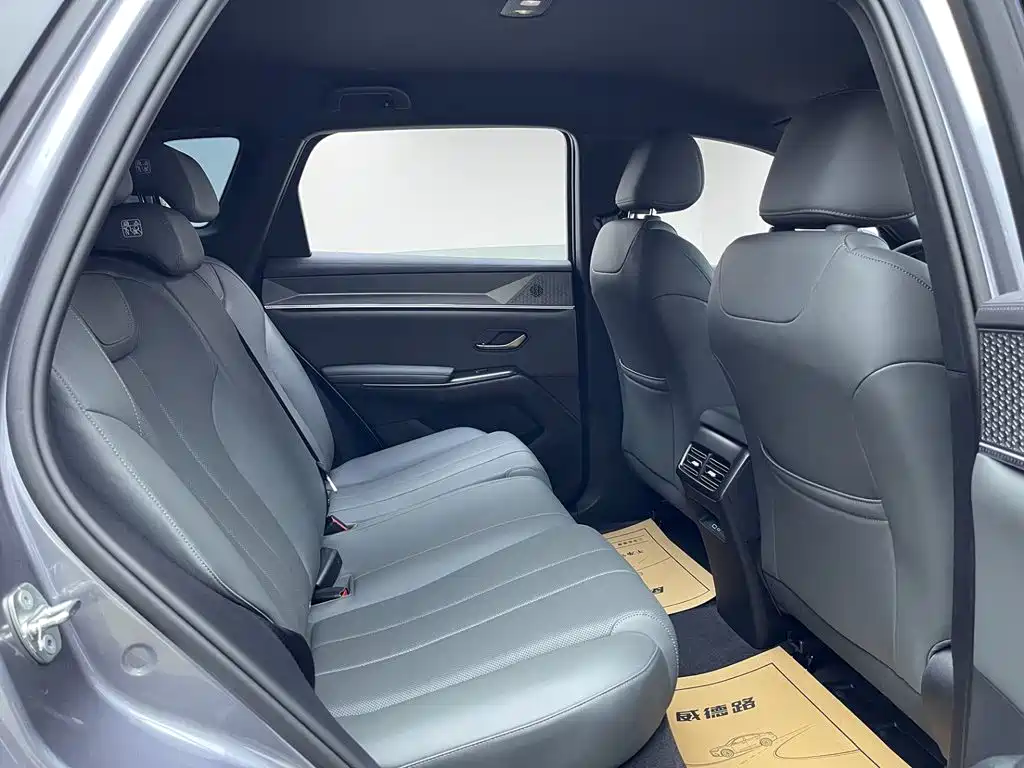 BYD Pro New Energy — миниатюра 14