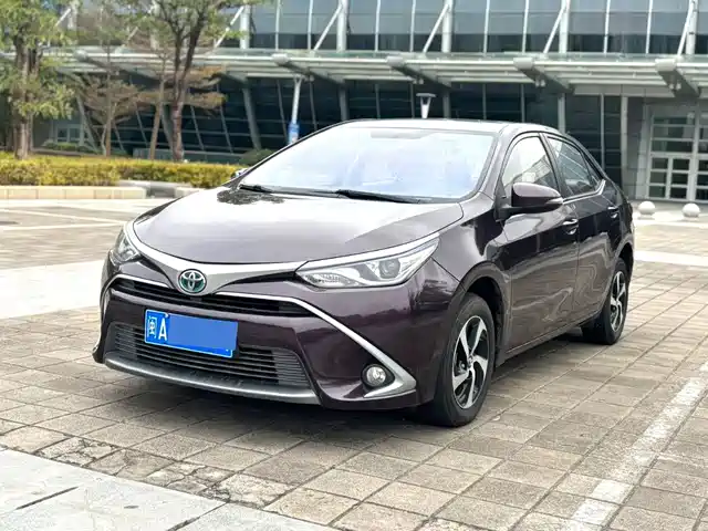 TOYOTA LEI LING 2019