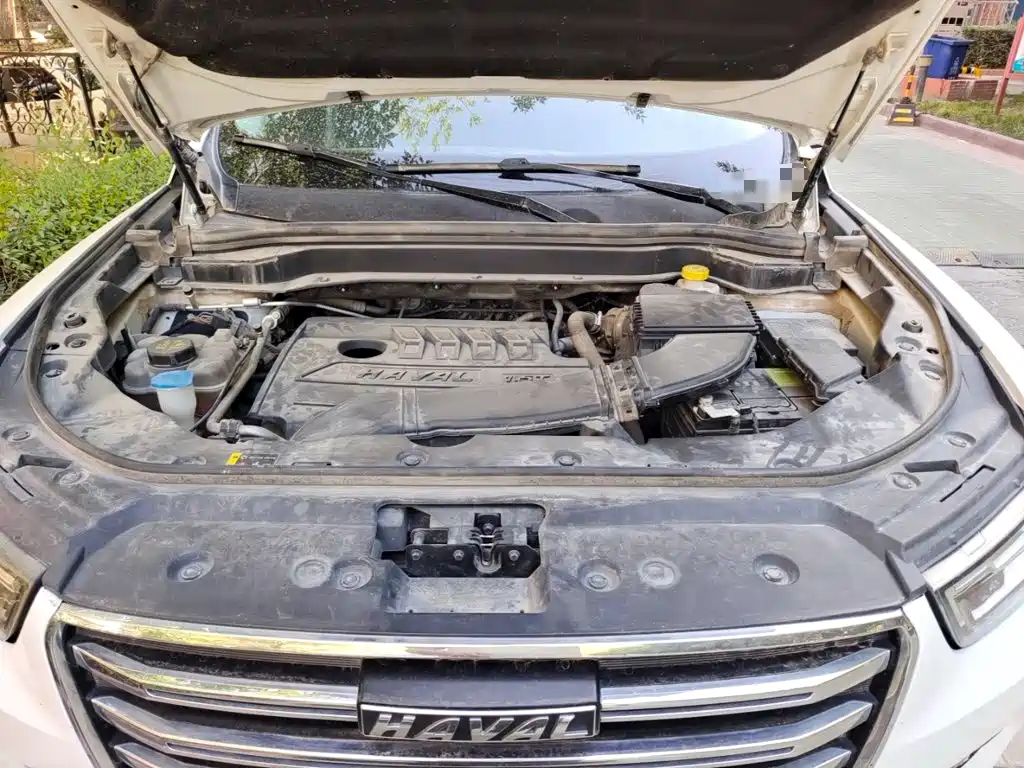 Haval H6 — миниатюра 11