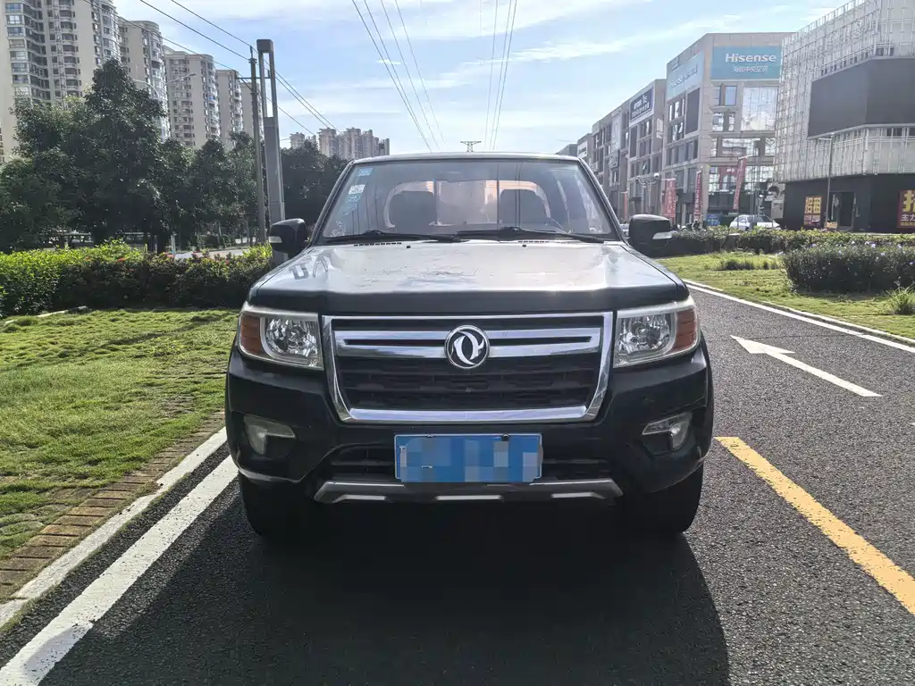 Dongfeng Rich — миниатюра 2