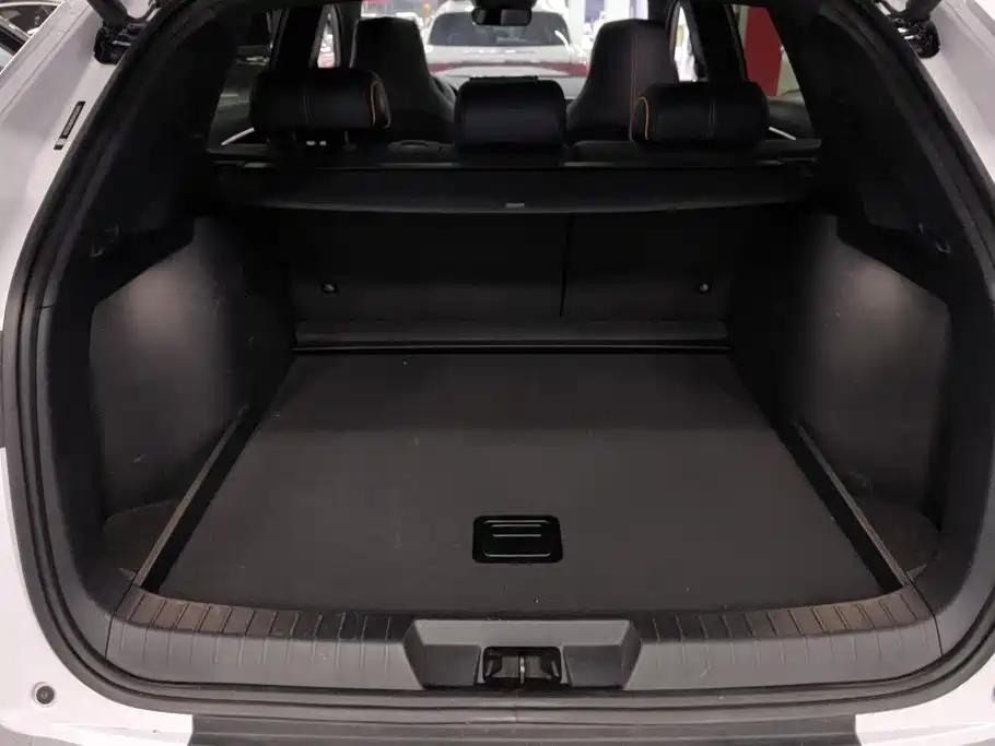BYD PLUS New Energy — миниатюра 4