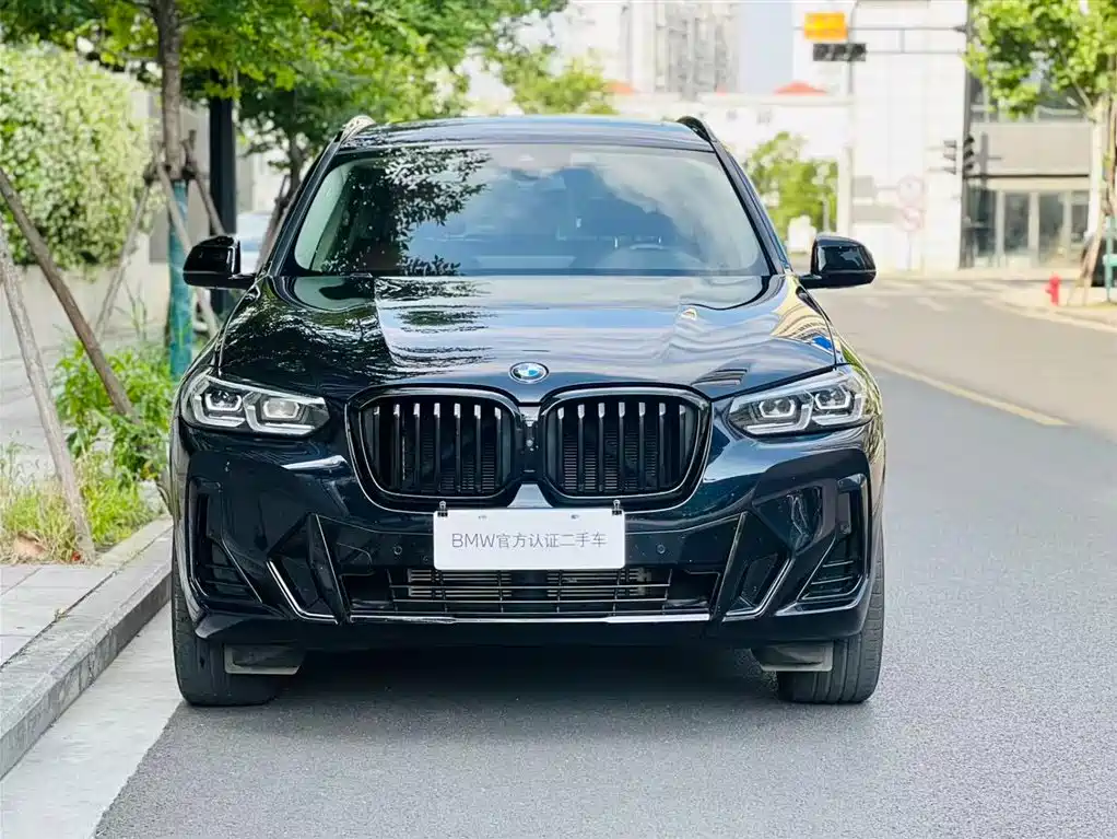 BMW X3 2023 xDrive30i Lead M