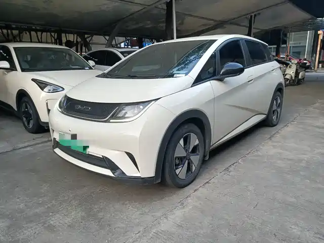 2023 BYD Dolphin