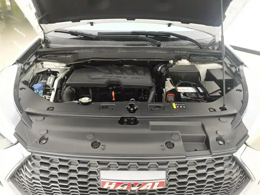 Haval H6 Coupe — миниатюра 10