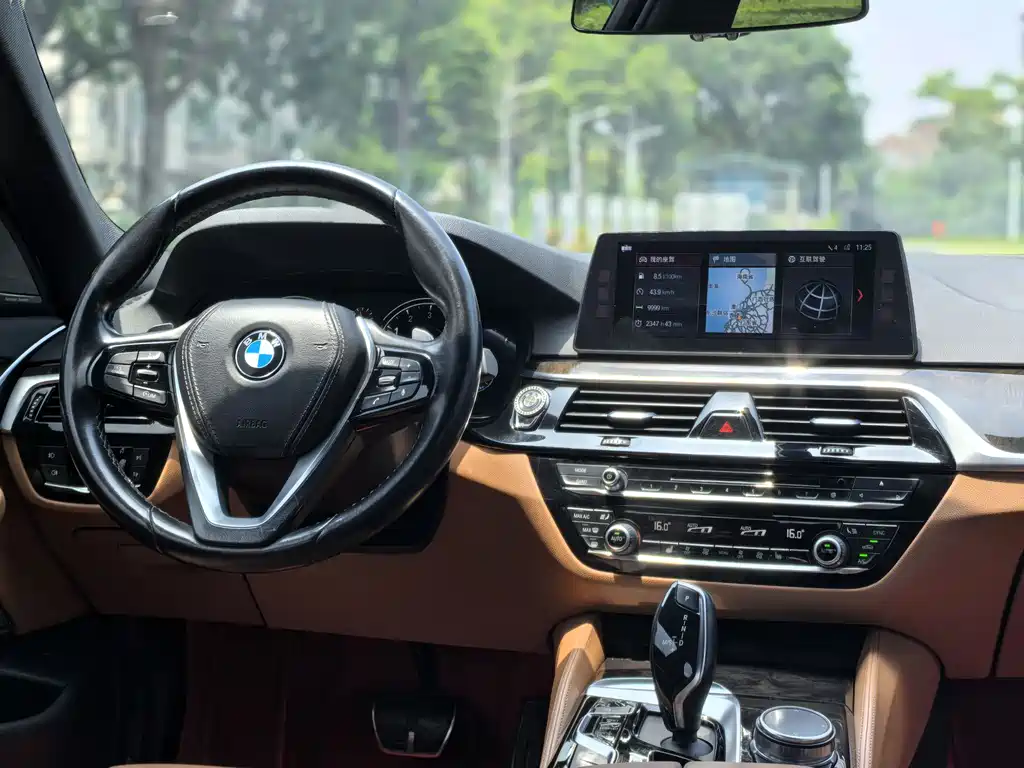 BMW 5 Series 5 2018 530Li Lead M Sport
