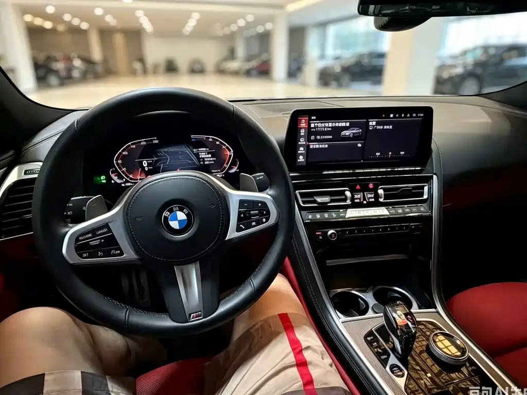BMW 8 Series — миниатюра 9