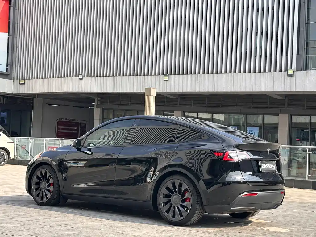 Tesla Model Y — миниатюра 11