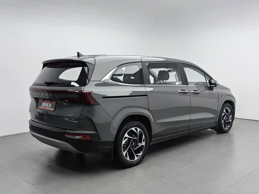 Hyundai Custo — миниатюра 2