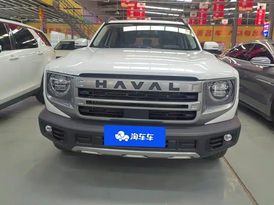 HAVAL BIG DOG