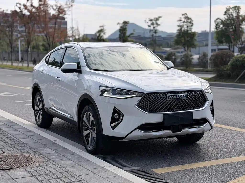 HAVAL F7X