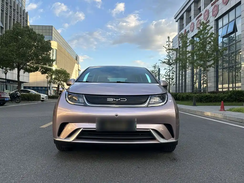 BYD Dolphin — миниатюра 2