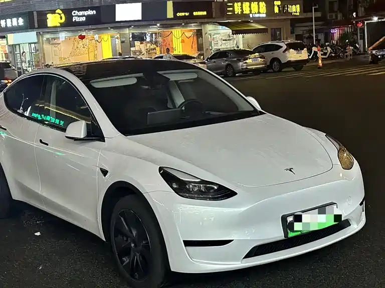 TESLA MODEL Y
