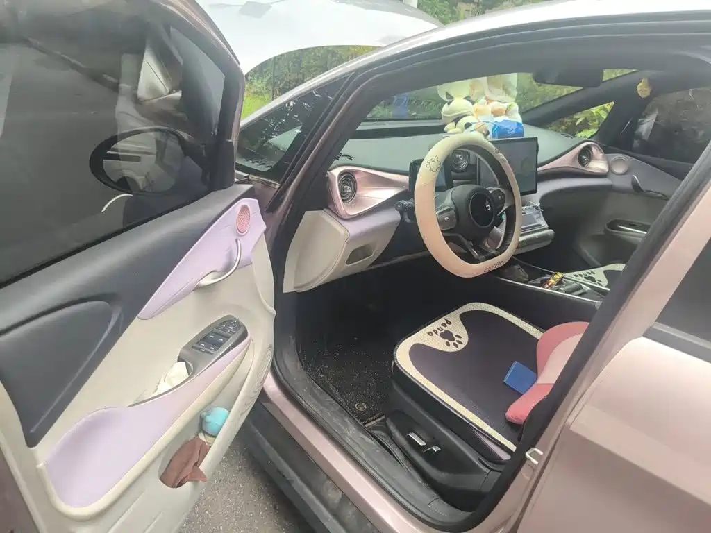 BYD Dolphin — миниатюра 12