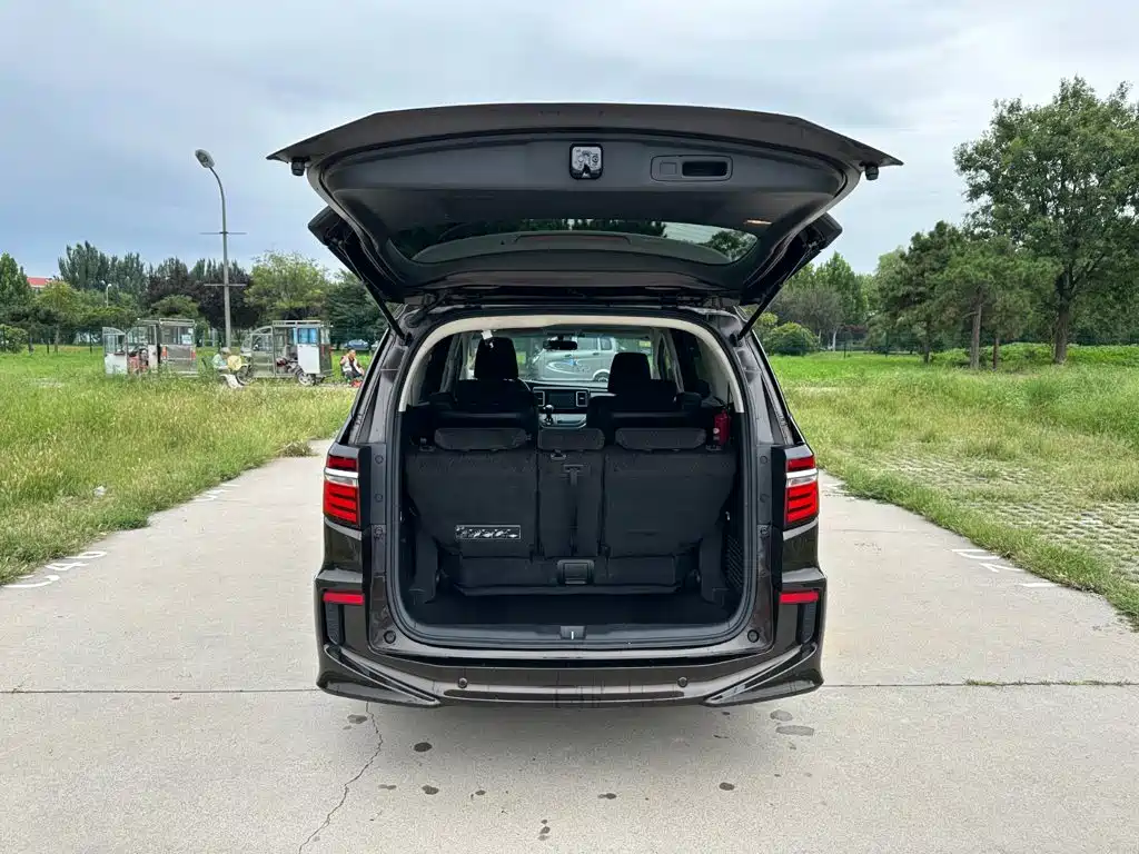 Honda Elysion — миниатюра 8