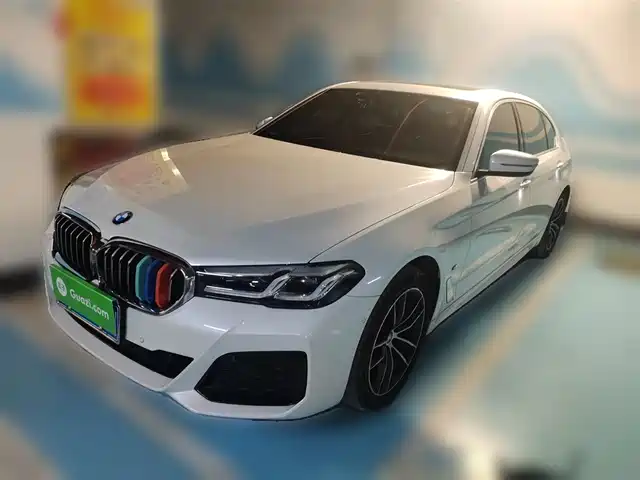 BMW 5 SERIES