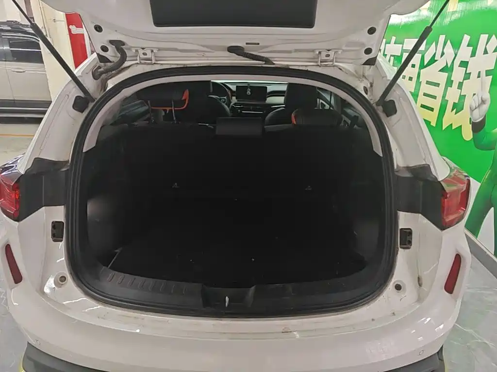 Haval Chitu — миниатюра 22