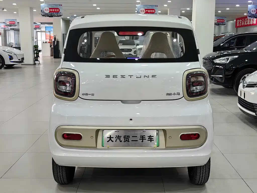 BESTUNE PENTIUM PONY