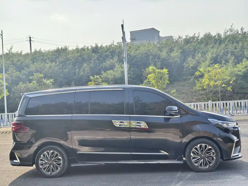 SAIC MAXUS CHASE G20