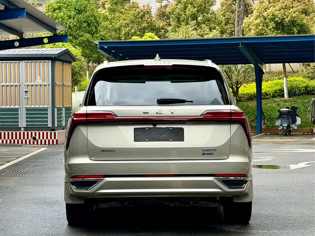 WEI PAI WEI BRAND BLUE MOUNTAIN