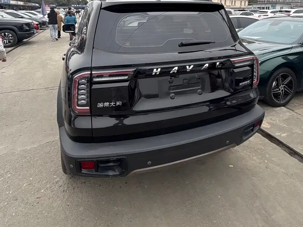 HAVAL BIG DOG