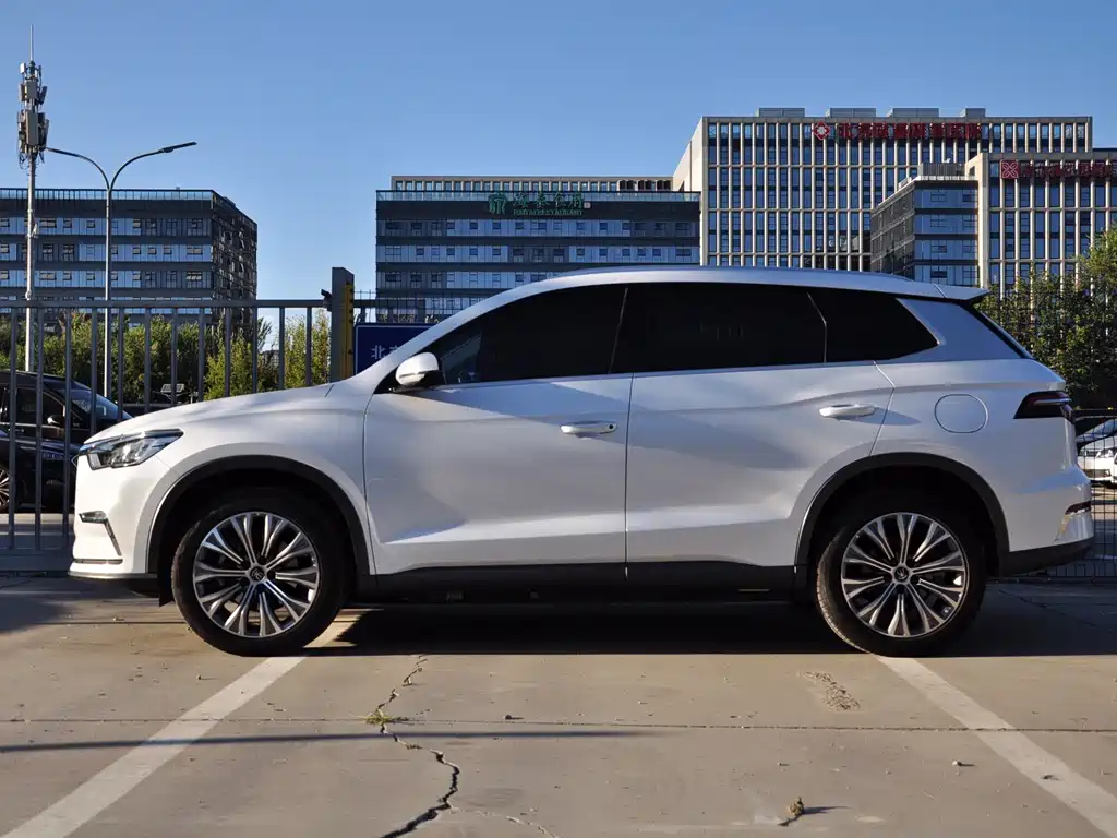 BYD Pro New Energy — миниатюра 3
