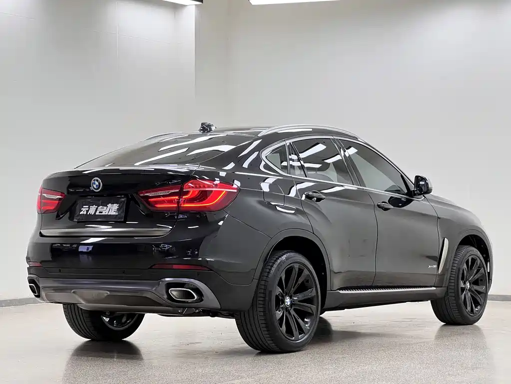 BMW X6 2018 xDrive35i Lead