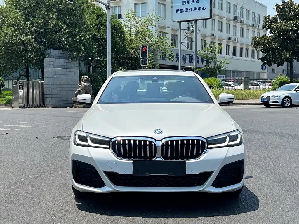 BMW 5 Series New Energy — миниатюра 2