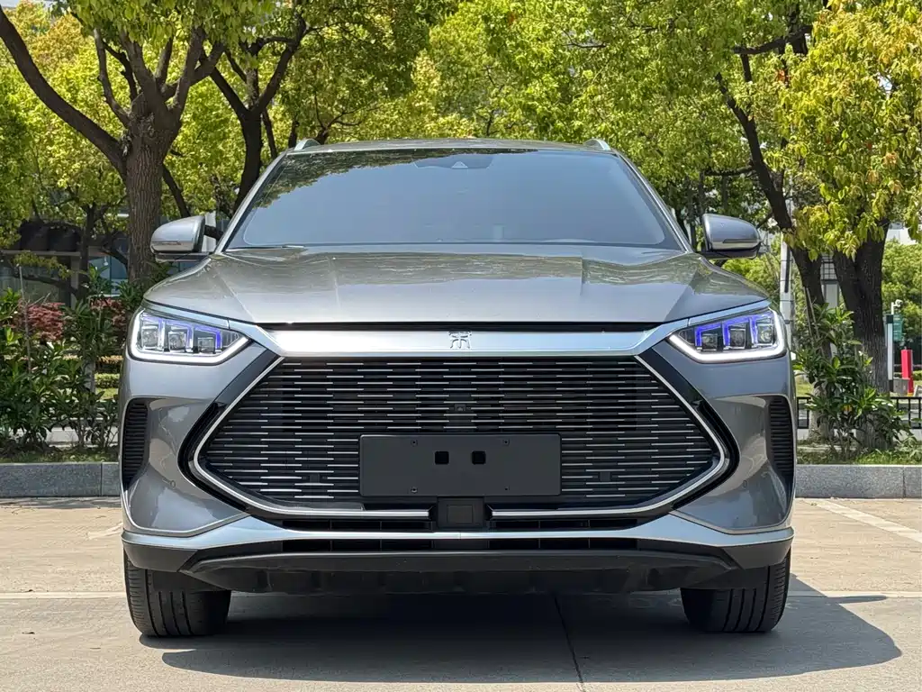 Byd PLUS New Energy 2022