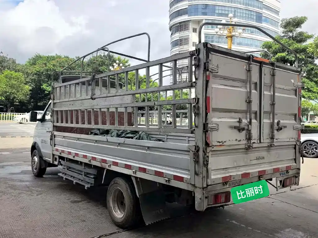 Сычуань. 鑫源T5L EV — миниатюра 6