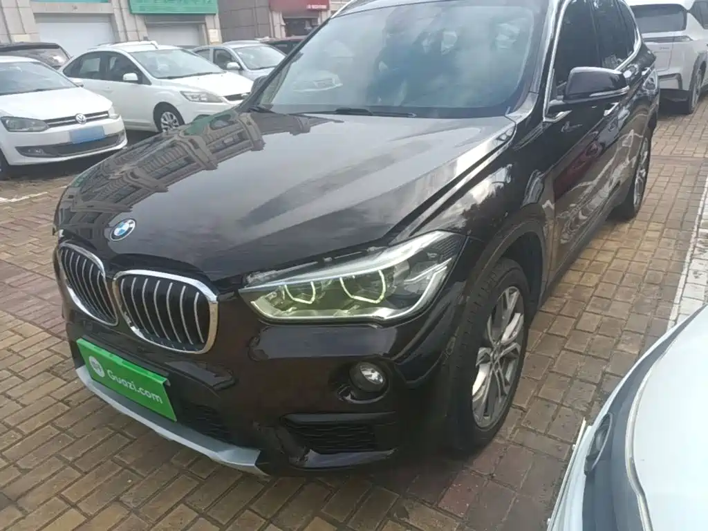 BMW X1 — миниатюра 2