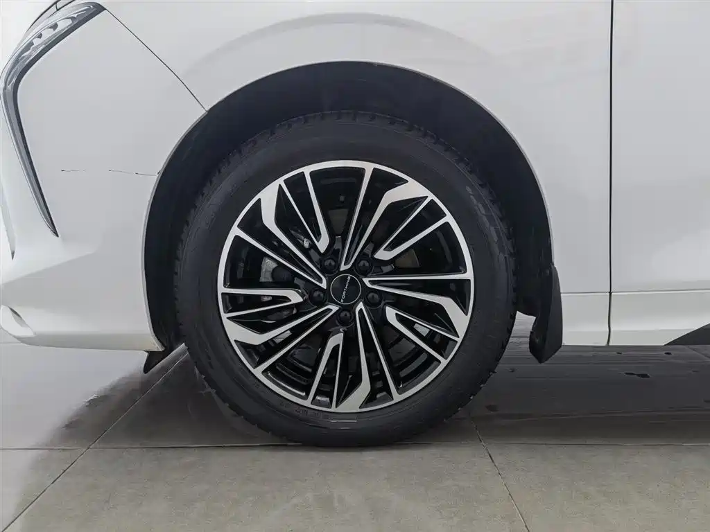 DONGFENG POPULAR YACHTS