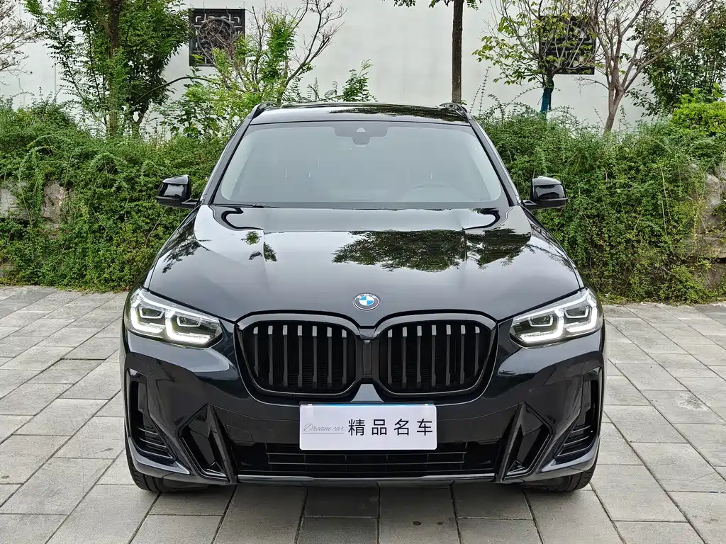 BMW X3 — миниатюра 2