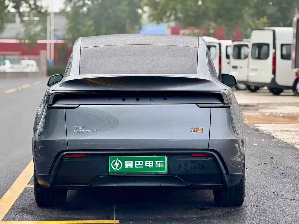 Tesla Model Y — миниатюра 5