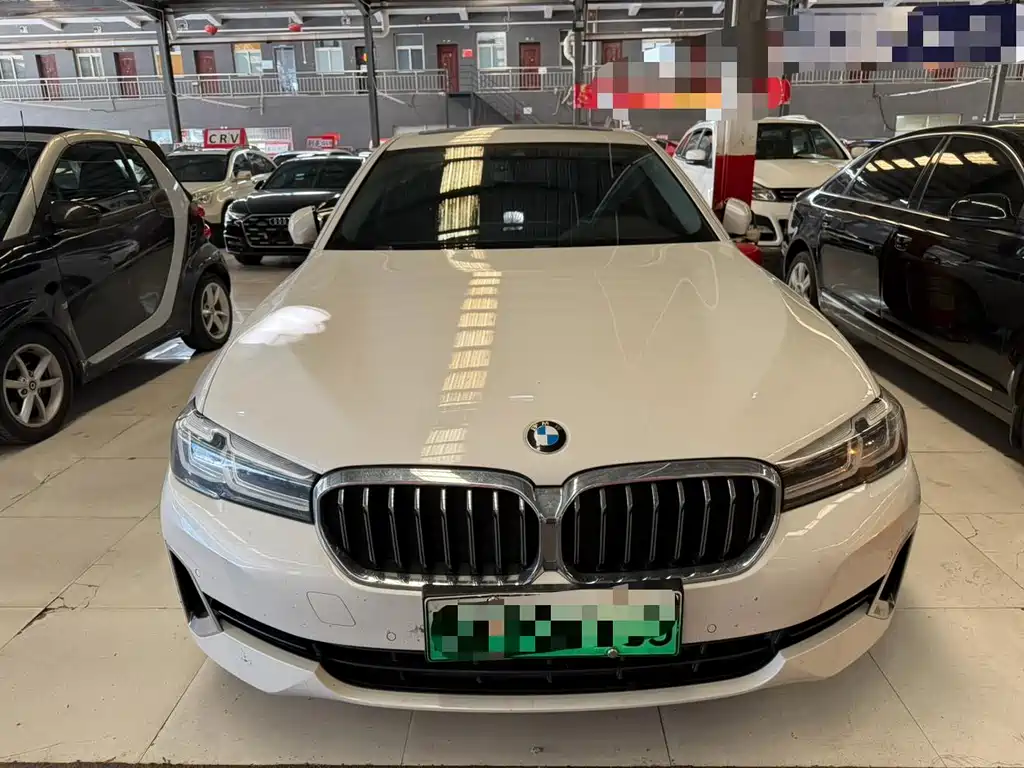 BMW 5 Series New Energy — миниатюра 2