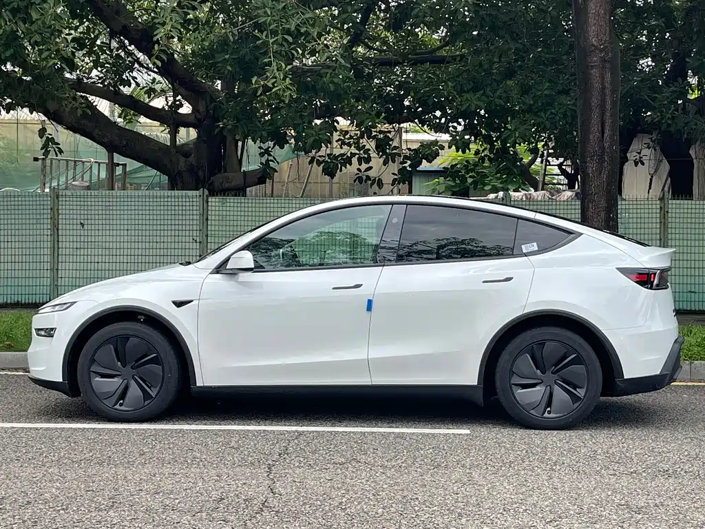 Tesla Model Y — миниатюра 14