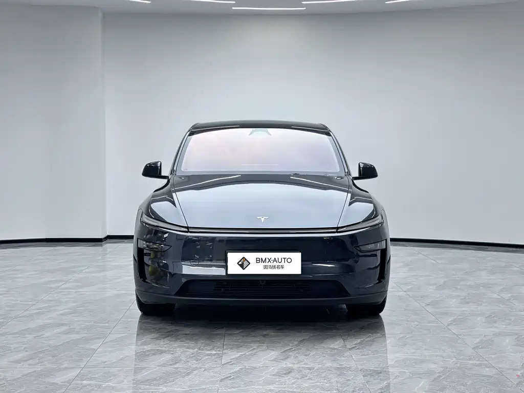 Tesla Model Y — миниатюра 4